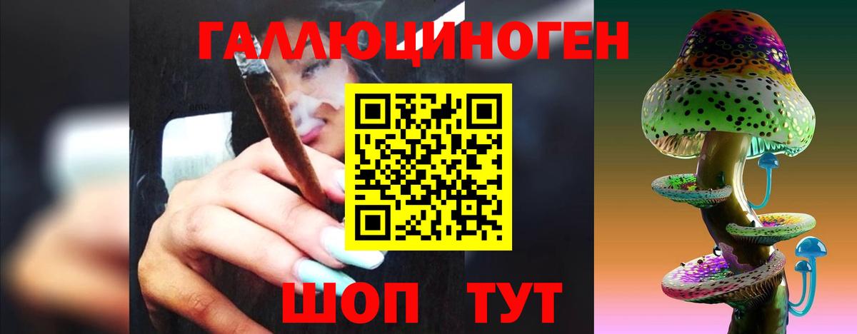 Псилоцибиновые грибы Psilocybine cubensis  Вход с VPN  Красноперекопск  продажа наркотиков  Псилоцибиновые грибы прущие грибы 